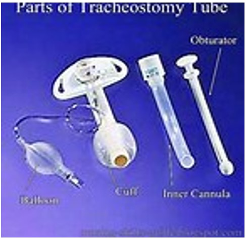 Parts of a Trache Tube 22